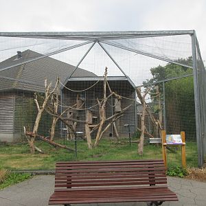 Blue and Yellow Macaw Aviary