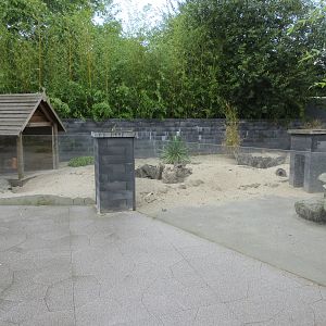 Meerkat Exhibit
