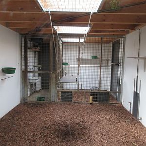 Lemur Walk-through - indoor area