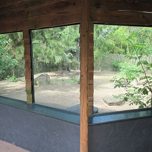 Parma Wallaby Exhibit