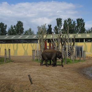 Asian Elephant/Red Deer/Chital/Crab-eating Macaque Exhibit