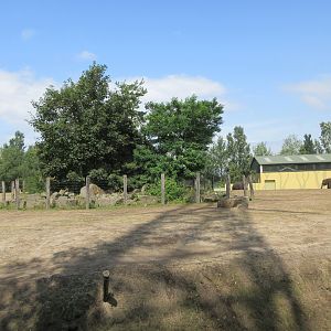 Asian Elephant/Red Deer/Chital/Crab-eating Macaque Exhibit