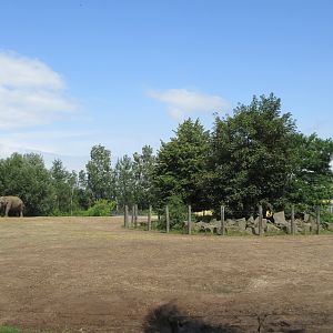 Asian Elephant/Red Deer/Chital/Crab-eating Macaque Exhibit