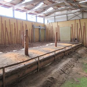 Asian Elephant House