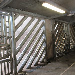 Asian Elephant House - side areas