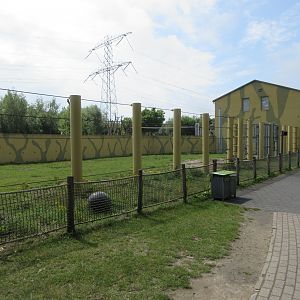 Asian Elephant Side Exhibit (for presentations)