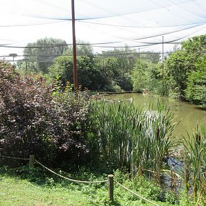 Walk-through Waterfowl Aviary - enormous!