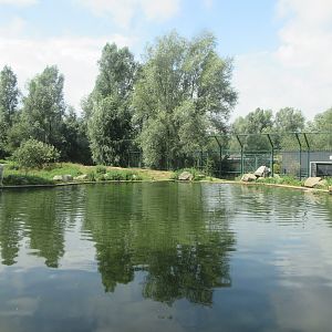 Polar Bear Exhibit #1