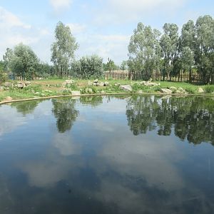 Polar Bear Exhibit #2