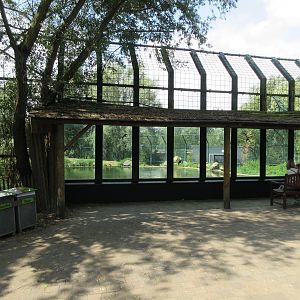 Polar Bear Exhibit #1