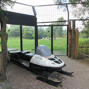 Polar Bear Exhibit #2