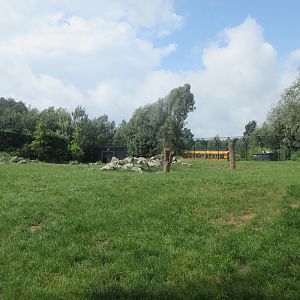 Polar Bear Exhibit #2