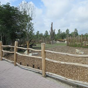 Greater One-horned Rhino/Nilagi/Hog Deer/Visayan Warty Pig Exhibit