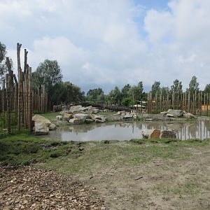 Greater One-horned Rhino/Nilagi/Hog Deer/Visayan Warty Pig Exhibit