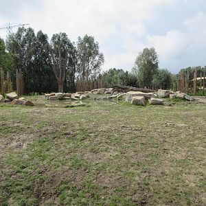 Greater One-horned Rhino/Nilagi/Hog Deer/Visayan Warty Pig Exhibit