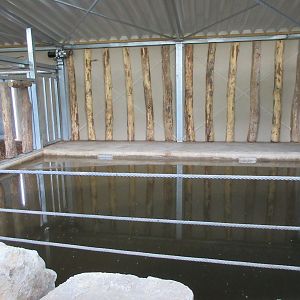 Greater One-horned Rhino House (New in 2019)