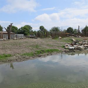Greater One-horned Rhino/Nilagi/Hog Deer/Visayan Warty Pig Exhibit