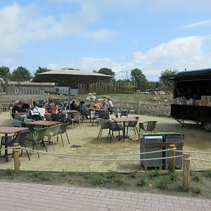Greater One-horned Rhino/Nilagi/Hog Deer/Visayan Warty Pig Exhibit - eating area