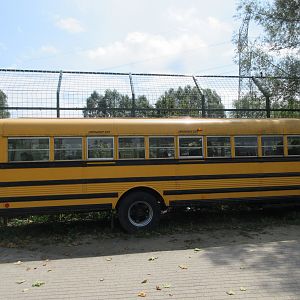 Polar Bear Exhibit #2 - viewing from bus