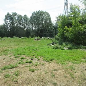 Polar Bear Exhibit #2