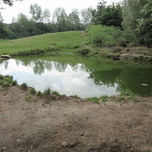 European Brown Bear Exhibit