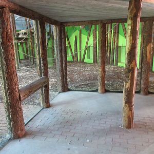 Chimpanzee Indoor Exhibit