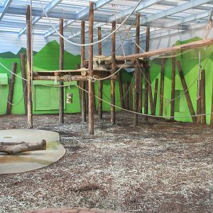 Chimpanzee Indoor Exhibit