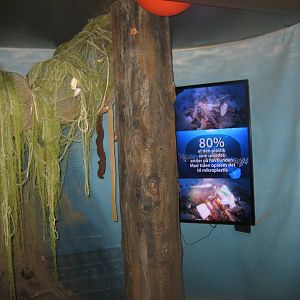 Økolariet - Small part of the fjord exhibition