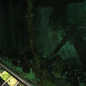 Økolariet - Main fish tank in the fjord exhibition