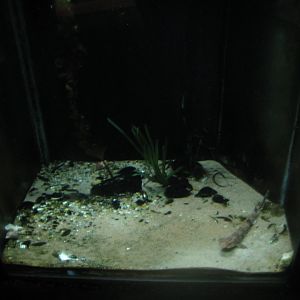 Økolariet - Small fish tank in the fjord exhibition