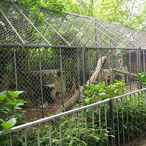 Eurasian lynx cage, 2019-05-25