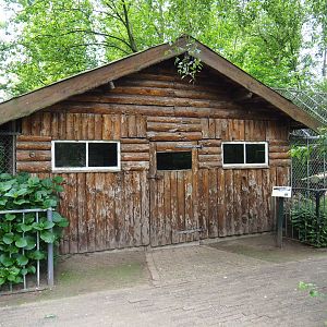 Eurasian lynx barn, 2019-05-25