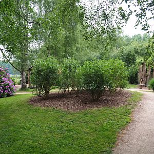 Park view, 2019-05-25