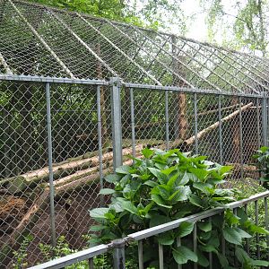 Serval cage, 2019-05-25