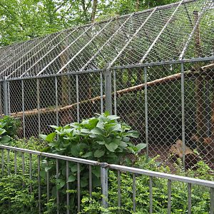 Serval cage, 2019-05-25