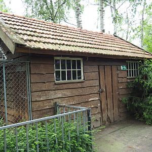 Serval barn, 2019-05-25