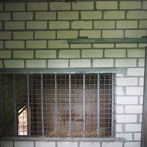 Serval holding, 2019-05-25