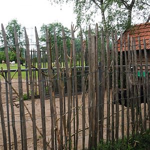 Dwarf zebu and Miniature donkey barn and hardstand, 2019-05-25