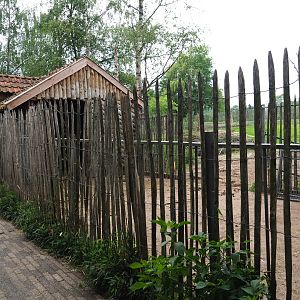 Dwarf zebu and Miniature donkey barn and hardstand, 2019-05-25