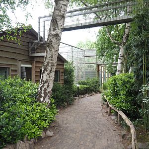 Monkey and cockatoo house and overhead mesh tunnels, 2019-05-25
