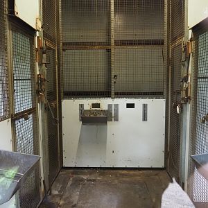 Monkey and cockatoo indoor housing, 2019-05-25