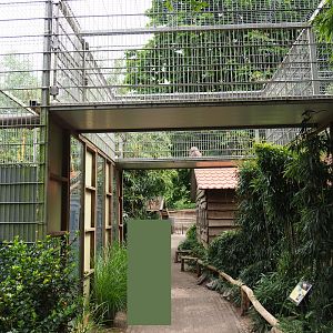 Rhesus macaque exhibit, 2019-05-25
