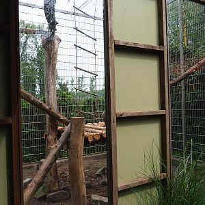 Rhesus macaque exhibit, 2019-05-25