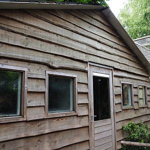 Rhesus macaque, Black-capped capuchin and Ring-tailed coati house, 2019-05-25