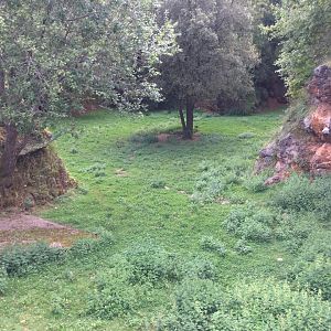 Bennet's wallaby exhibit-Cabarceno 2019