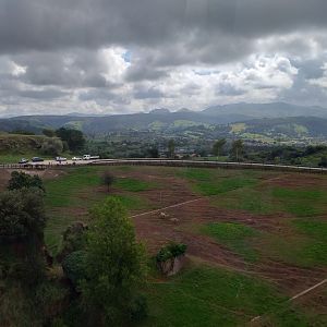 Bruchell's zebra exhibit from cable car-Cabarceno (2019)