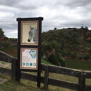 Bruchell's zebra sign-Cabarceno 2019