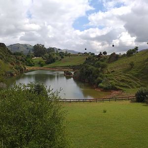 Common hippopotamus exhibit-Cabarceno (2019)