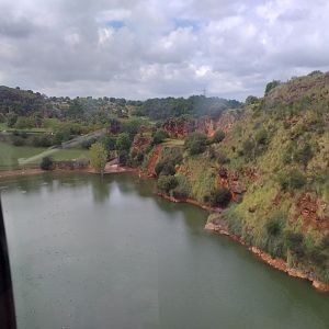 Common hippopotamus lake from cable car-Cabarceno (2019)