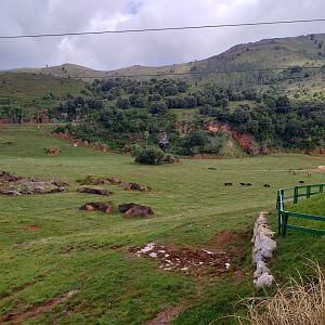 Elephant exhibit-Cabarceno (2019)